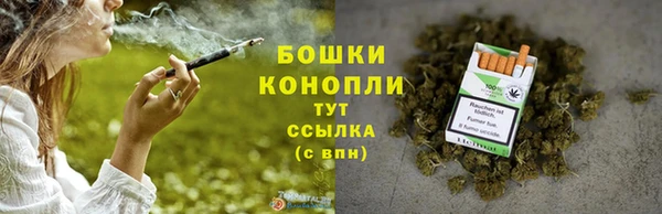 Альфа ПВП Протвино