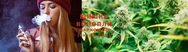 молекула духа Алексин