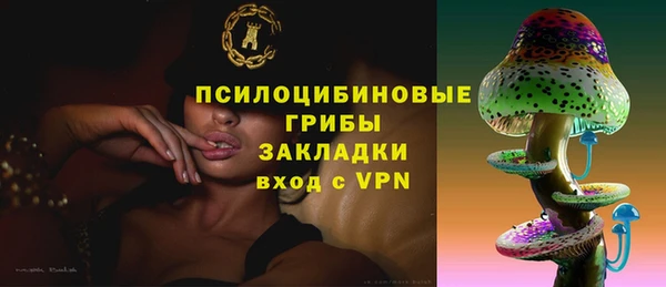 молекула духа Алексин