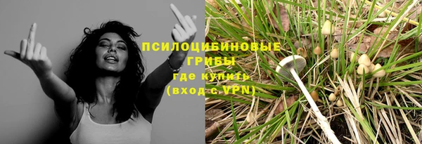 дурь Алзамай